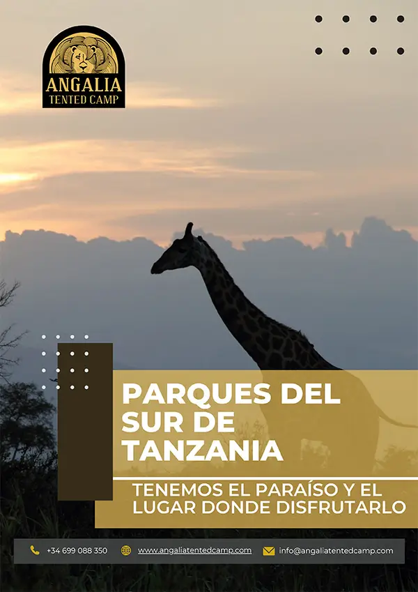 Parques del sur de Tanzania