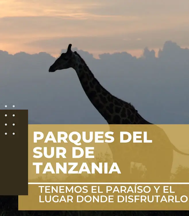 Parques del sur de Tanzania